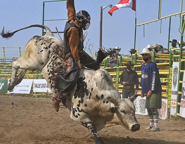 bull riding at bear river